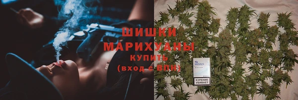 Альфа ПВП Осинники