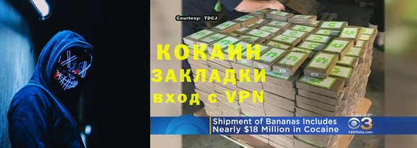 прущие грибы Беломорск