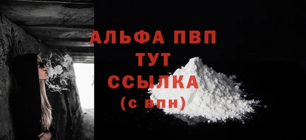 прущие грибы Беломорск