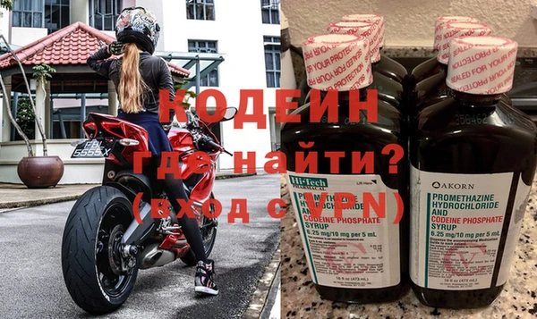 прущие грибы Беломорск