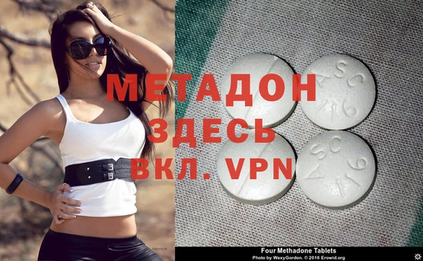 прущие грибы Беломорск