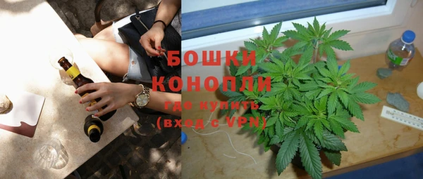 шишки Осташков