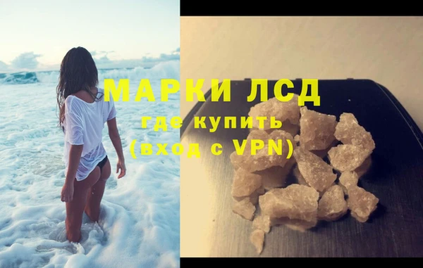прущие грибы Беломорск