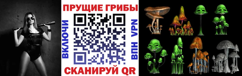 площадка какой сайт  Выкса  Псилоцибиновые грибы GOLDEN TEACHER  omg сайт 